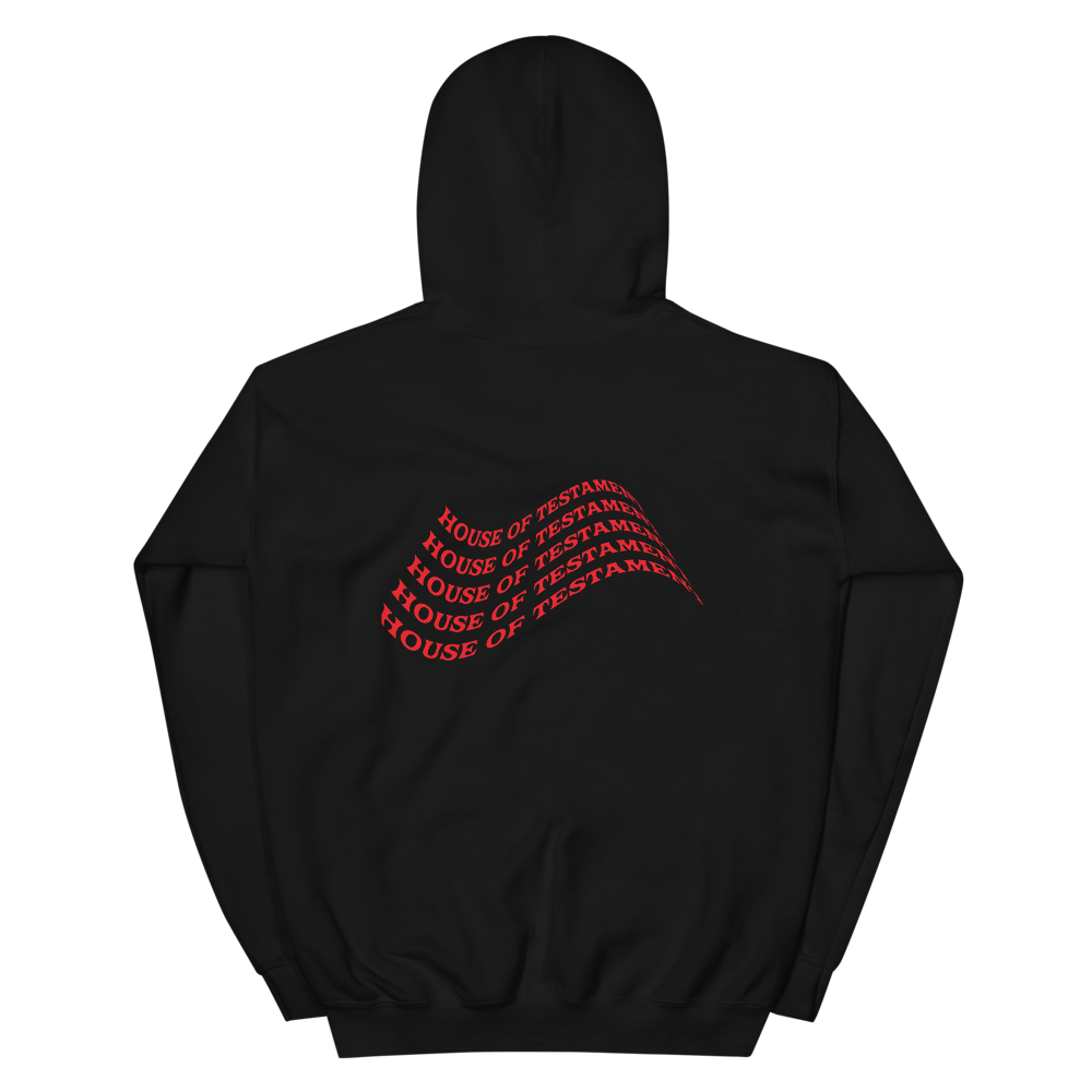 WE GOT LOVE Hooded Sweatshirt