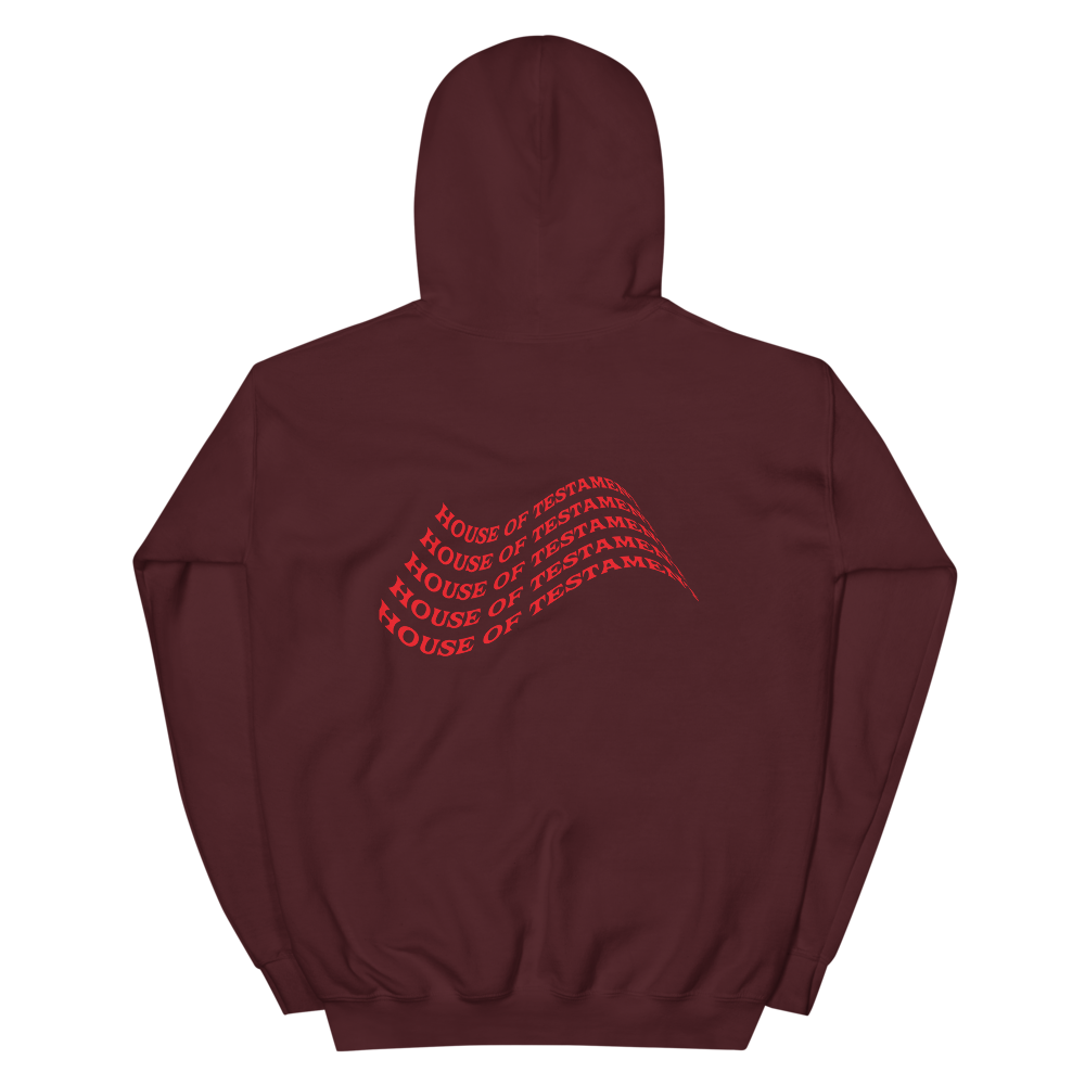 WE GOT LOVE Hooded Sweatshirt