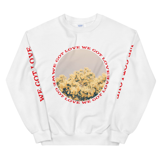 WE GOT LOVE Sweatshirt