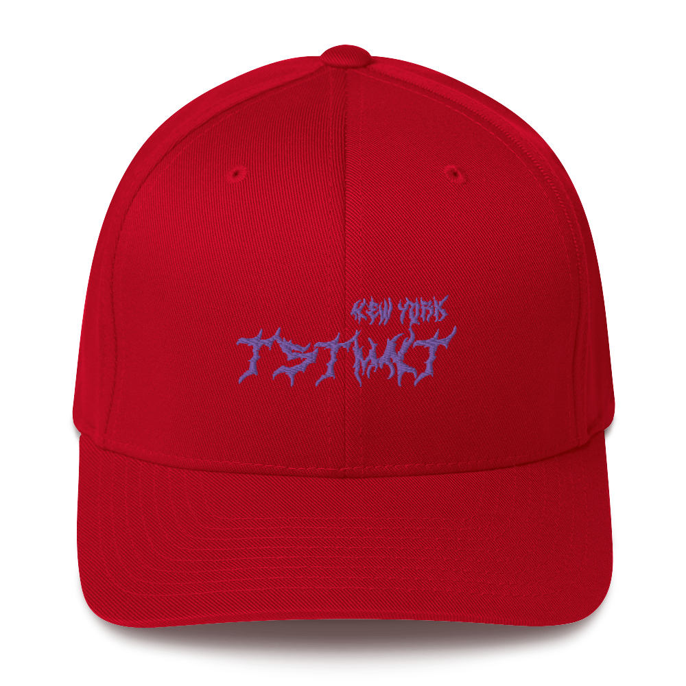 TSTMNT NY HAT