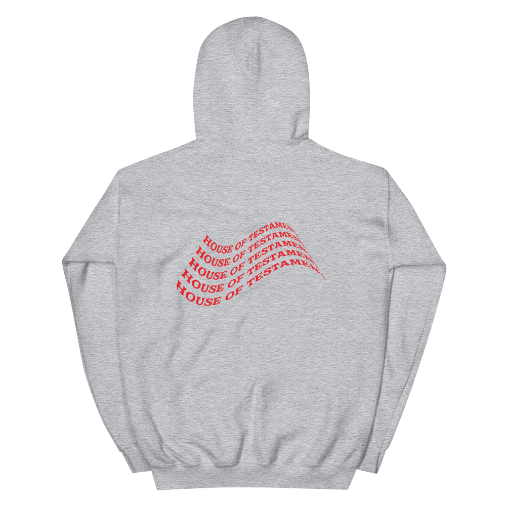WE GOT LOVE Hooded Sweatshirt