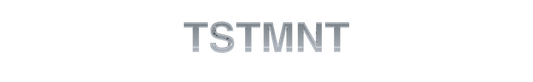 IN TSTMNT